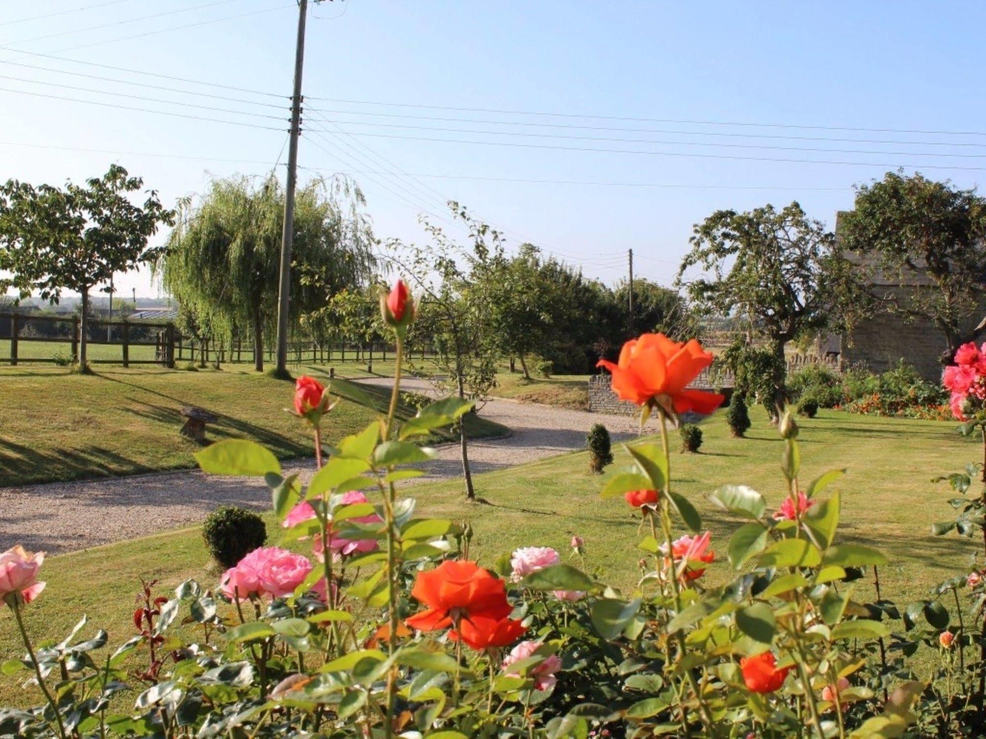 Bed and Breakfast Cary Fitzpaine House Babcary Экстерьер фото