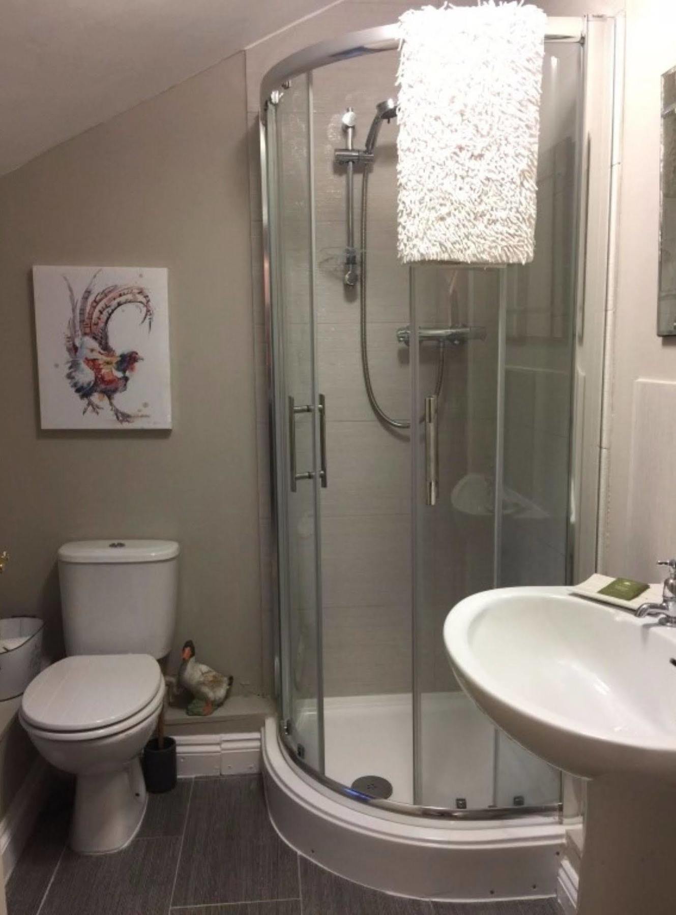 Bed and Breakfast Cary Fitzpaine House Babcary Экстерьер фото