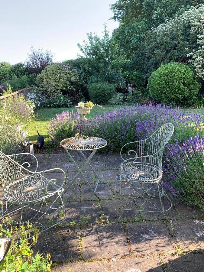 Bed and Breakfast Cary Fitzpaine House Babcary Экстерьер фото